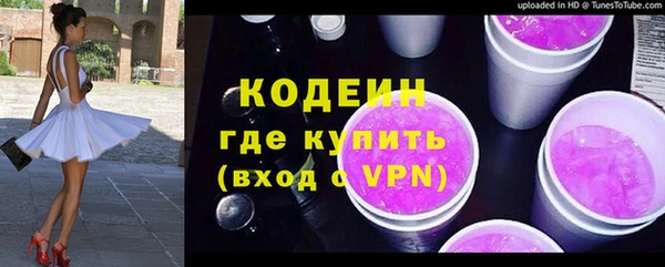 шишки Абаза