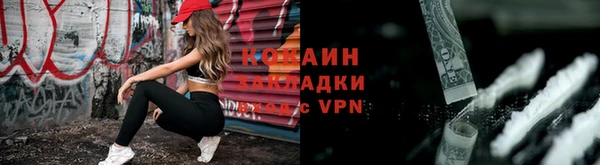 шишки Абаза
