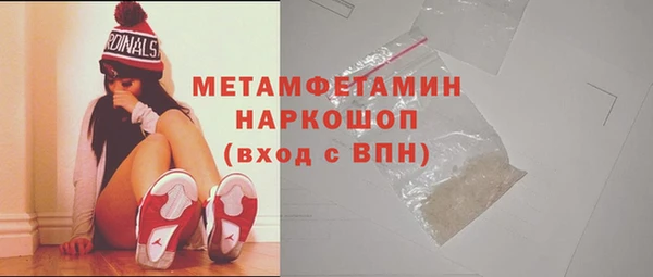 шишки Абаза