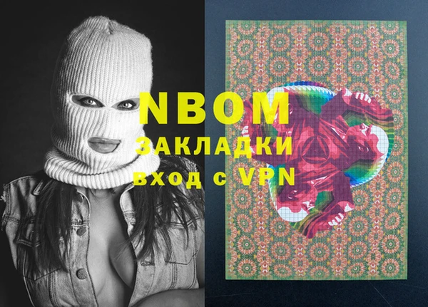 шишки Абаза