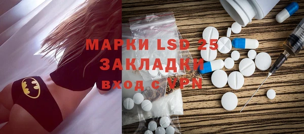 шишки Абаза