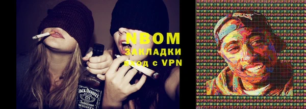 шишки Абаза