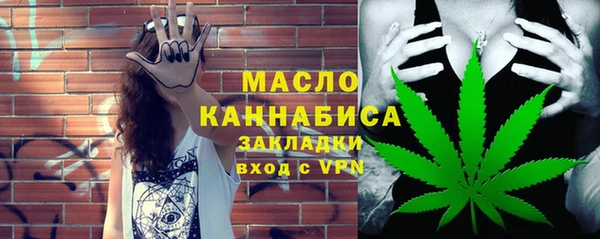 шишки Абаза
