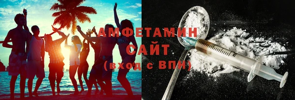шишки Абаза