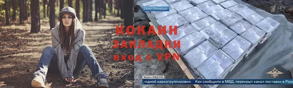 шишки Абаза