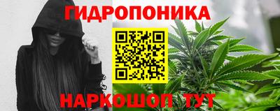прущие грибы Коммунар