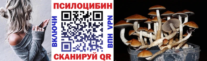как найти закладки  Россошь  Псилоцибиновые грибы Psilocybe 