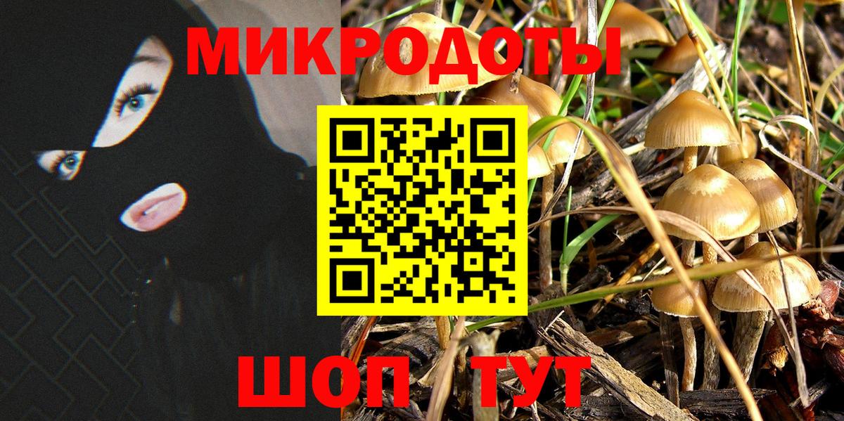 Псилоцибиновые грибы Psilocybine cubensis Россошь